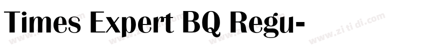 Times Expert BQ Regu字体转换